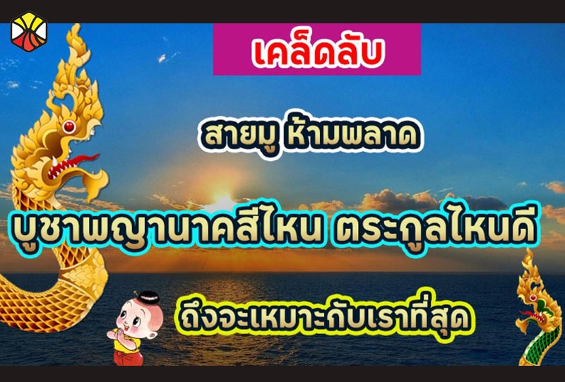 สายมูห้ามพลาด บูชาพญานาคสีไหน ตระกูลไหนดี ถึงจะเหมาะกับเราที่สุด