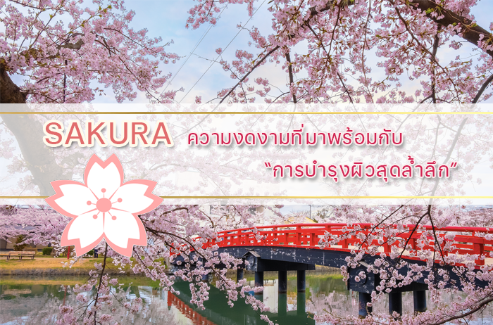 SAKURA สารสกัดบำรุงผิวสุดล้ำลึก